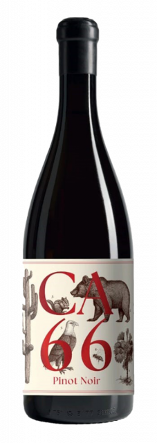 Hannes Sabathi, Steiermark, CA 66, Pinot Noir