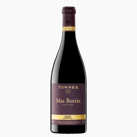 Torres, Penedès, Mas Borràs, Pinot Noir, D.O.