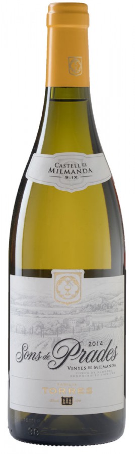 Witte wijn Spanje Torres, Conca de Barberà, Sons de Prades, Chardonnay, D.O.
