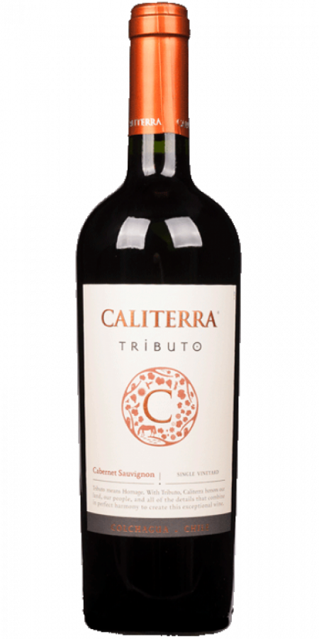 Tranen Bandiet Begrip Rode wijn Chili Caliterra, Valle de Colchagua, Cabernet Sauvignon, Tributo,  Single Vineyard